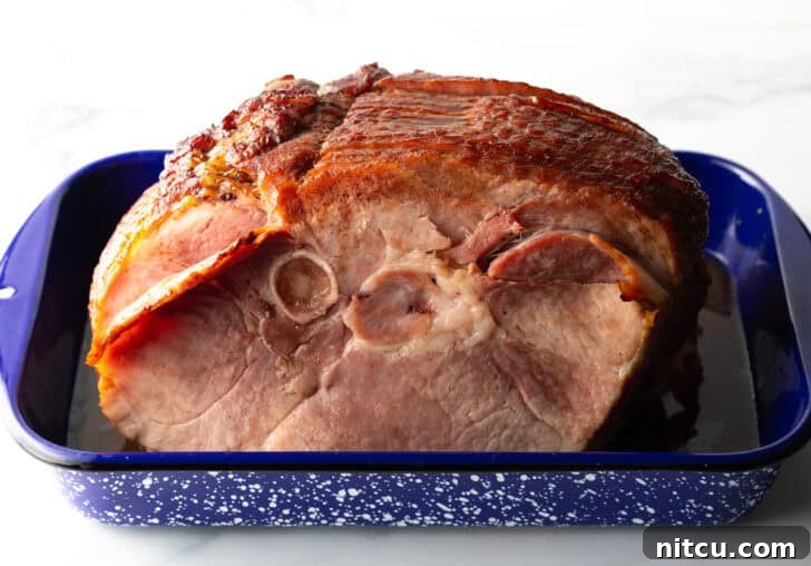 Perfect Spiral Ham Recipe 4 A raw spiral ham sits in a blue and white speckled roasting pan, before being cooked, ready for preparation.