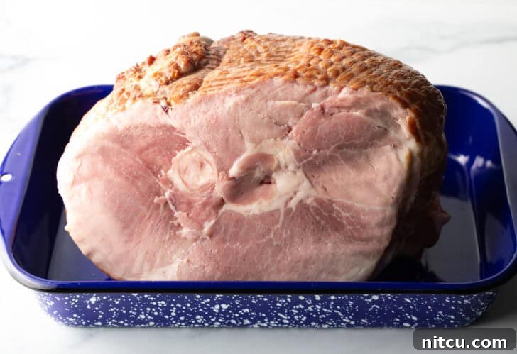 Perfect Spiral Ham Recipe 5 A cooked spiral ham, partially glazed, being removed from the oven in a blue and white speckled roasting pan, ready for the final glaze application.