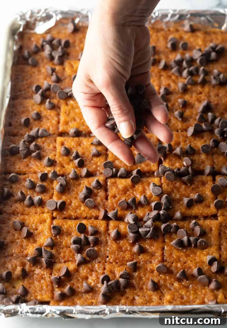 Toffee soaked saltine crackers spread across a large backing sheet, hand adding chocolate chips.
