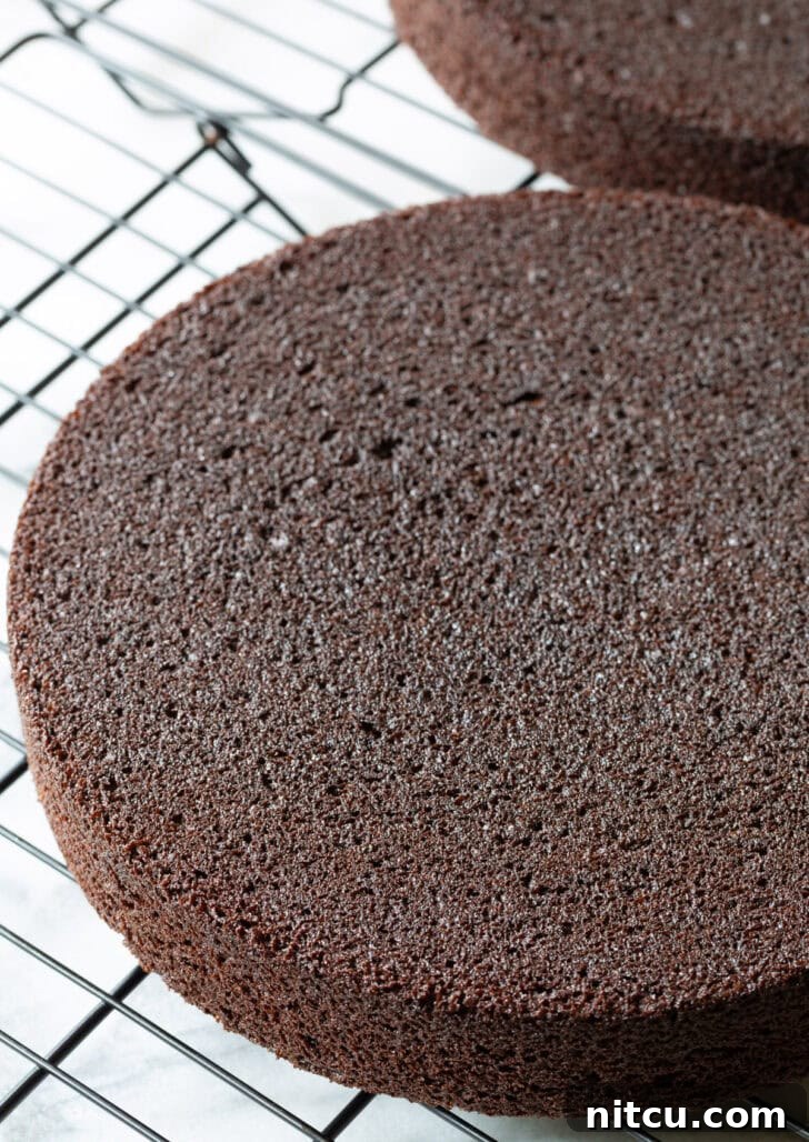 Ultimate Ice Cream Cake 5 Round chocolate cake base on a wire rack.