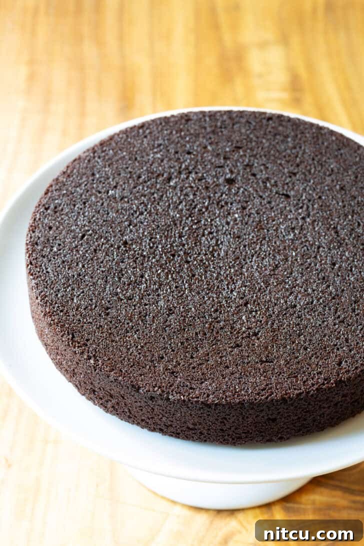Ultimate Ice Cream Cake 7 Round chocolate cake base.
