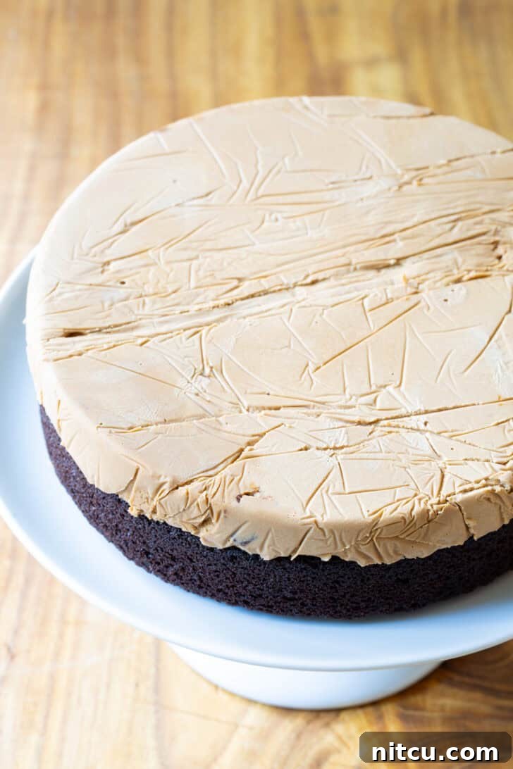Ultimate Ice Cream Cake 8 Disc of caramel ice cream layered on top of round chocolate cake base.