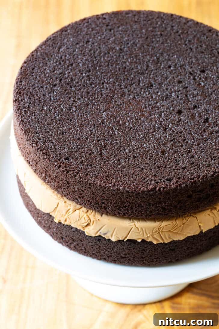 Ultimate Ice Cream Cake 9 Chocolate and caramel ice cream layered cream cake.