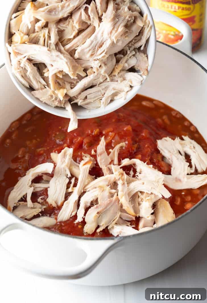 Easy 5 Ingredient Chicken Chili 8 Adding tender, cooked shredded chicken to the simmering pot, where it joins the rich tomato sauce and beans, ready to absorb the incredible flavors and become a hearty component of the chili.