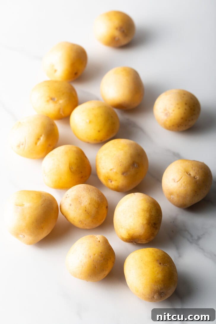 Crispy Smashed Potatoes 5 A dozen small yellow raw. potatoes