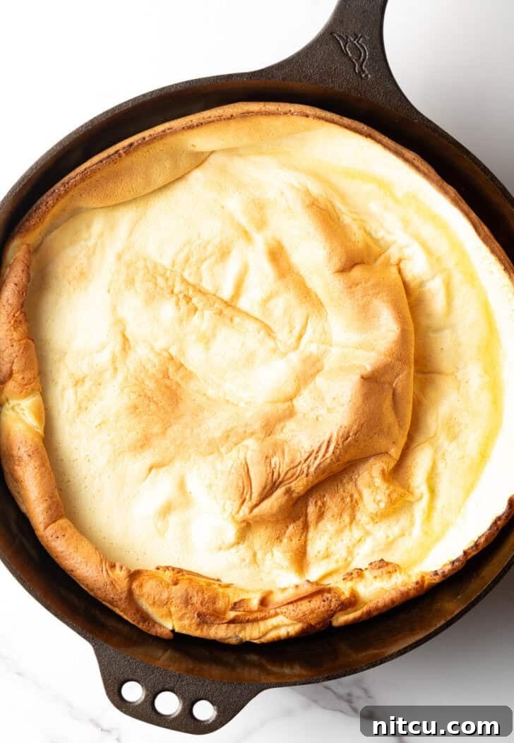 Effortless Puffed Pancake Perfection 6 Top-down view of a beautifully baked Dutch Baby in a cast iron skillet, puffed high and golden.