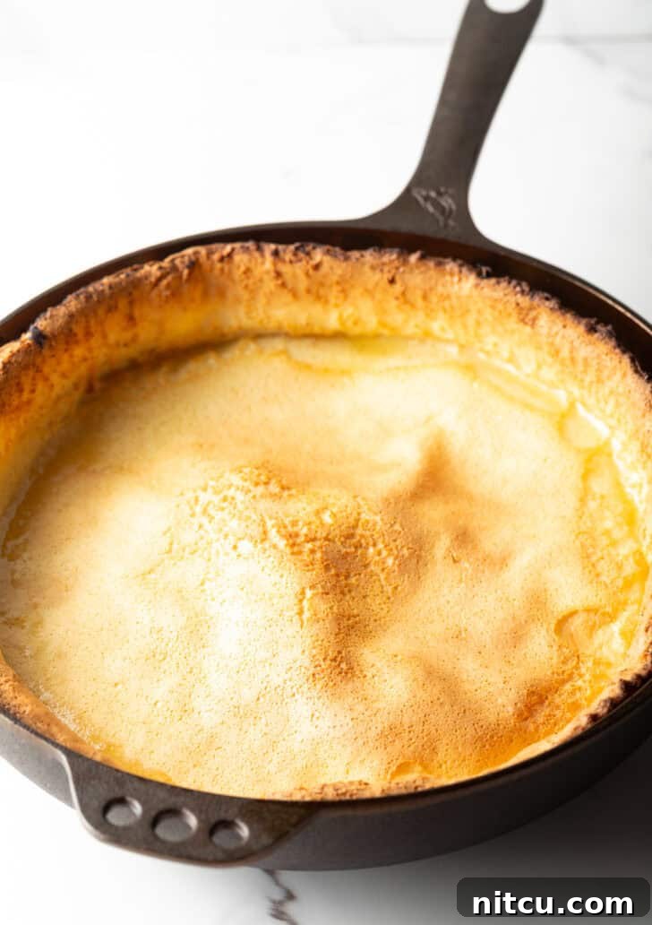 Effortless Puffed Pancake Perfection 7 A freshly baked Dutch Baby in a cast iron skillet, slightly deflated but still beautiful, showcasing its crispy edges and soft center.