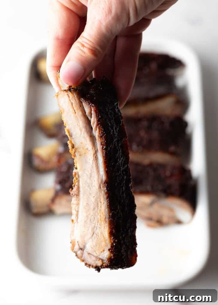Gateway City Ribs 13 Close-up of a single St. Louis rib being held, showing its perfectly cooked interior.