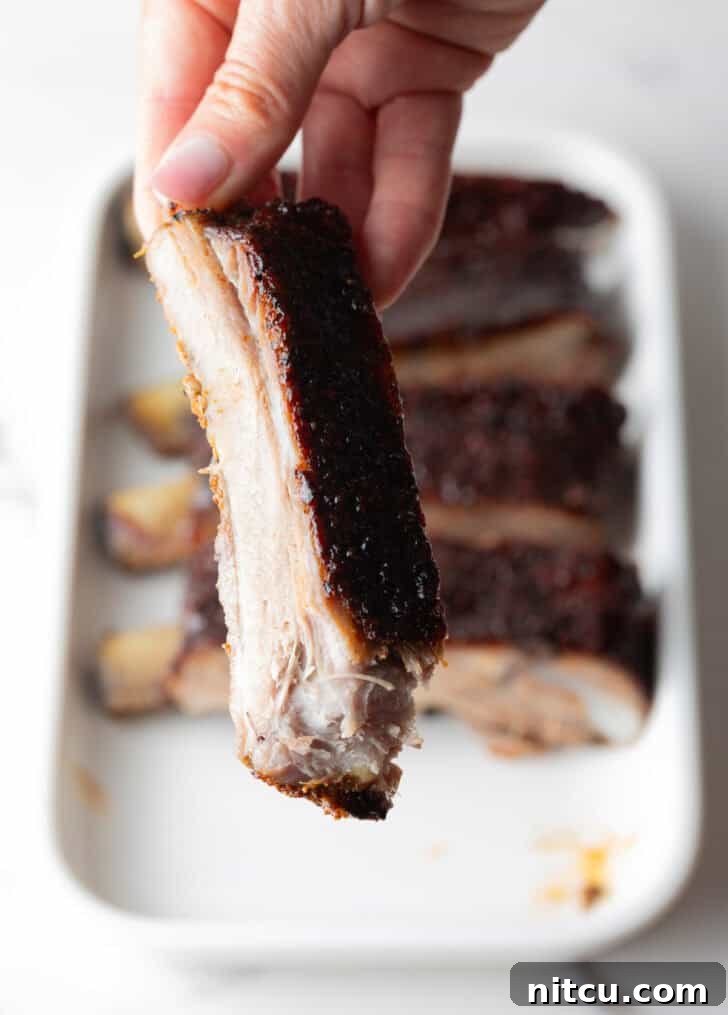 Gateway City Ribs 5 Close-up shot of a single St. Louis rib, showcasing its smoky bark and tender meat.