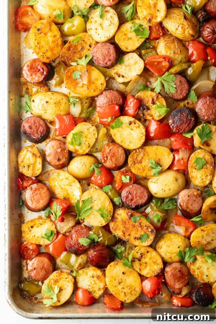 Smoky Sausage and Roasted Potatoes 7 Overhead view of the finished sheet pan kielbasa and potatoes recipe, garnished with fresh parsley and ready to serve.