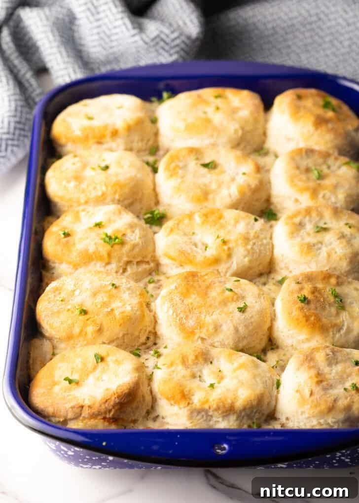 A baking tray filled with the Biscuits and Gravy Breakfast Casserole, golden biscuits on top of bubbling gravy.