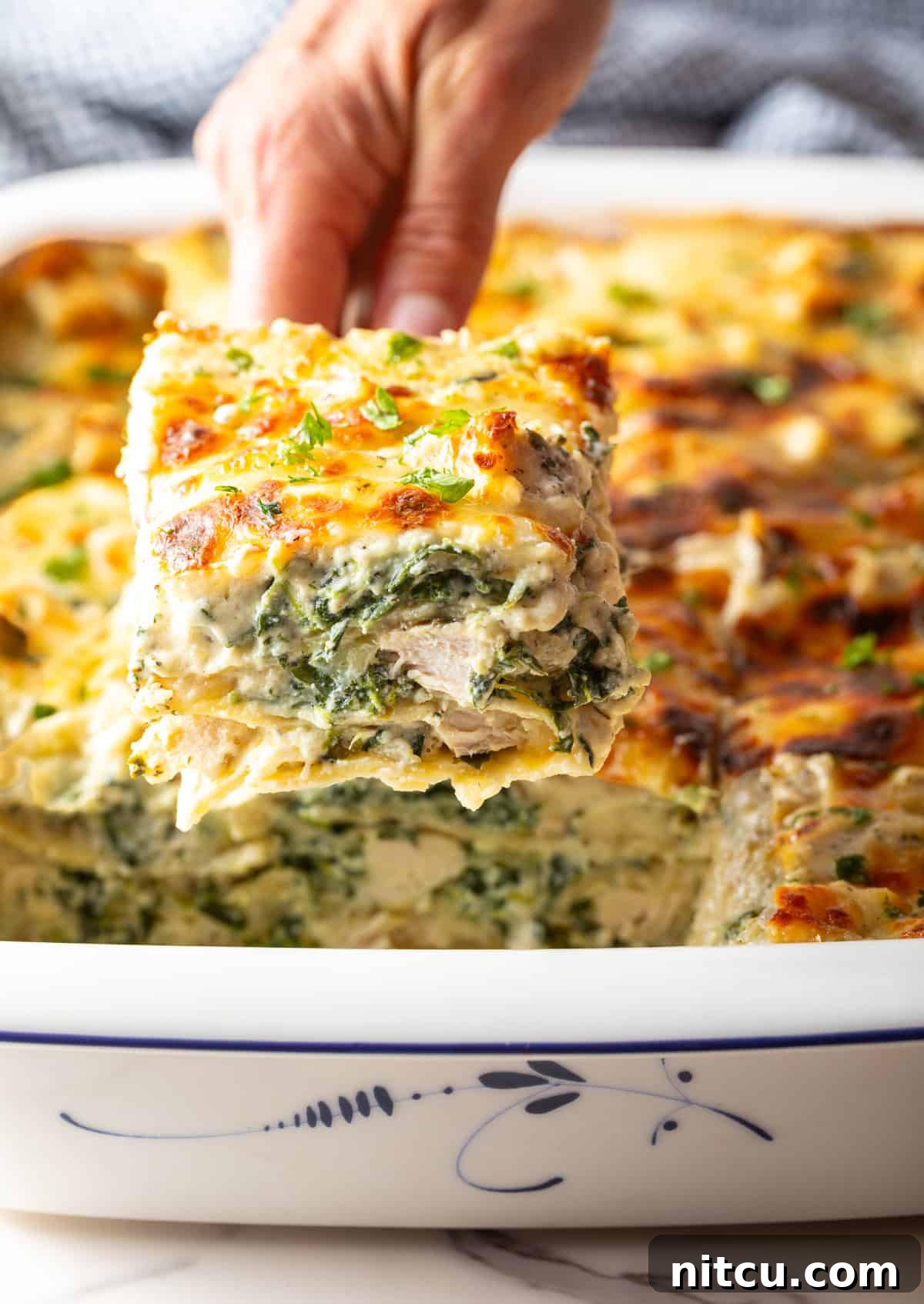 Velvety Chicken Alfredo Lasagna 11 A serving spatula lifts a hearty square of cheesy chicken Alfredo lasagna with spinach from a white baking pan, showcasing its luscious layers.