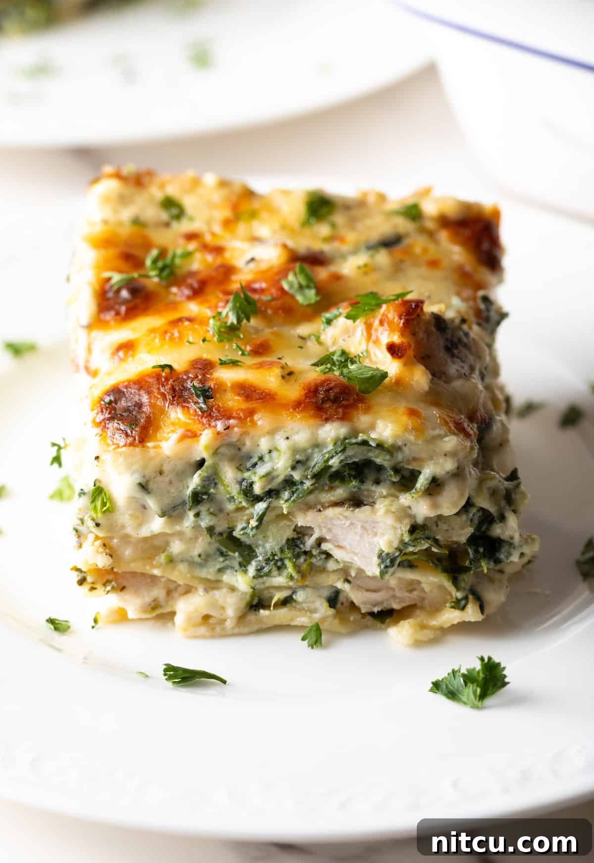 Velvety Chicken Alfredo Lasagna 12 A pristine square of hearty chicken Alfredo lasagna, showcasing its perfectly baked, golden-brown top and creamy interior on a white plate.