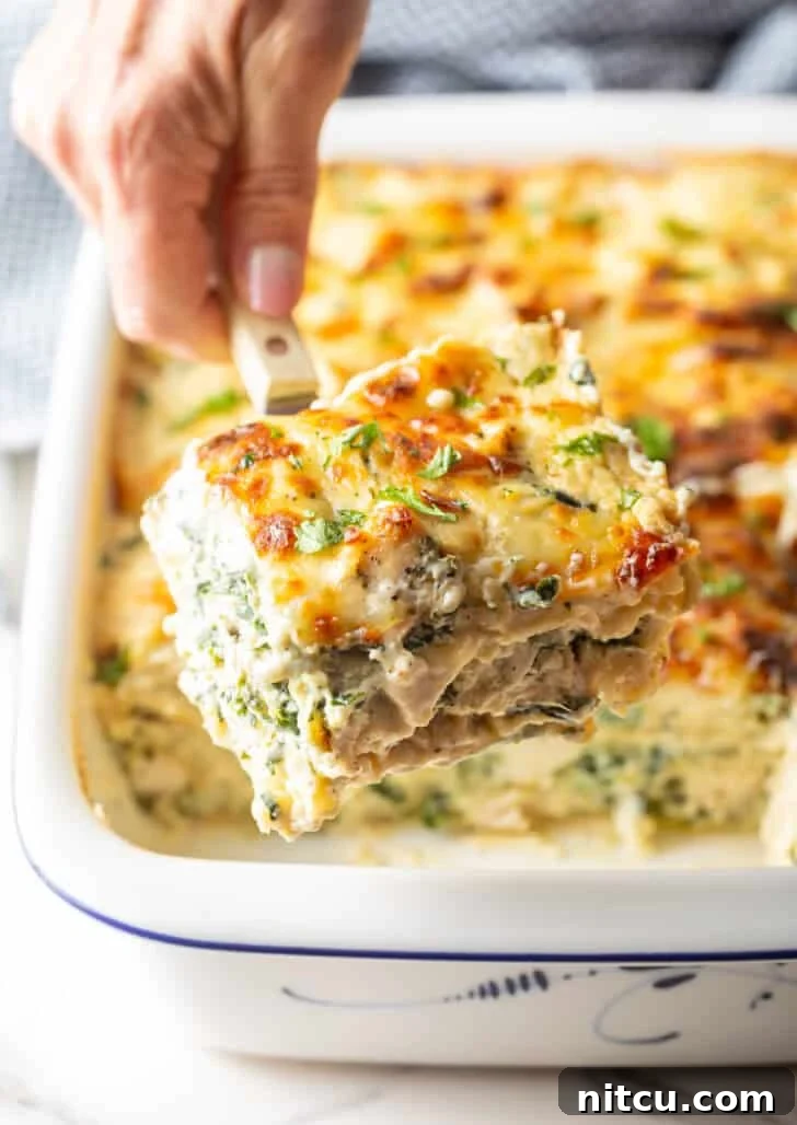 Velvety Chicken Alfredo Lasagna 5 A serving spatula carefully lifting a generous square of cheesy Chicken Alfredo Lasagna, revealing its decadent layers of chicken, spinach, and pasta.