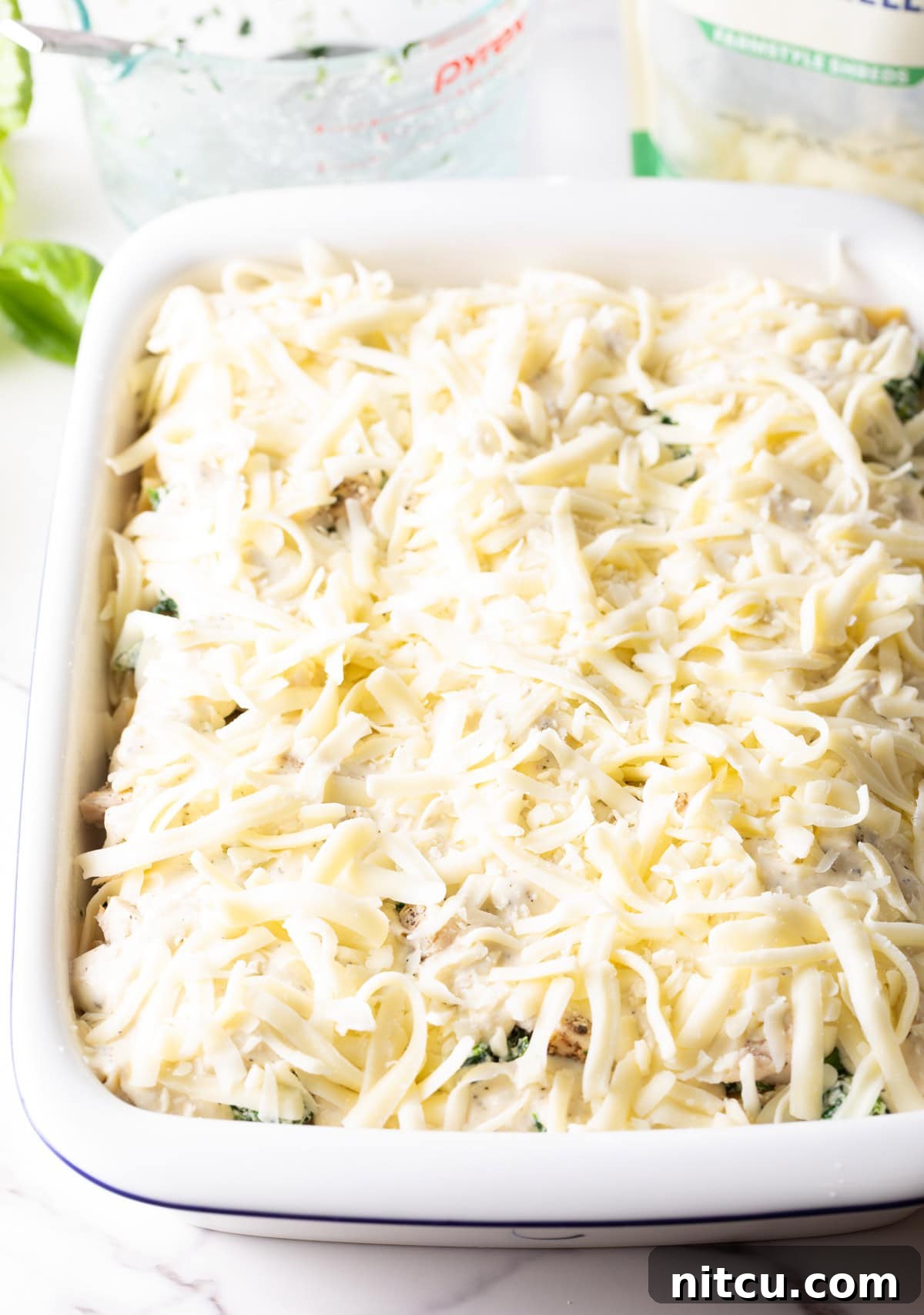 Velvety Chicken Alfredo Lasagna 9 A generous layer of shredded mozzarella cheese being added as the final topping on the unbaked lasagna, promising a perfectly melted, golden crust.