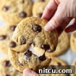 Salted Chocolate Chip Cookie Bliss 12 Close view of a hand breaking a chocolate chip cookie in half.