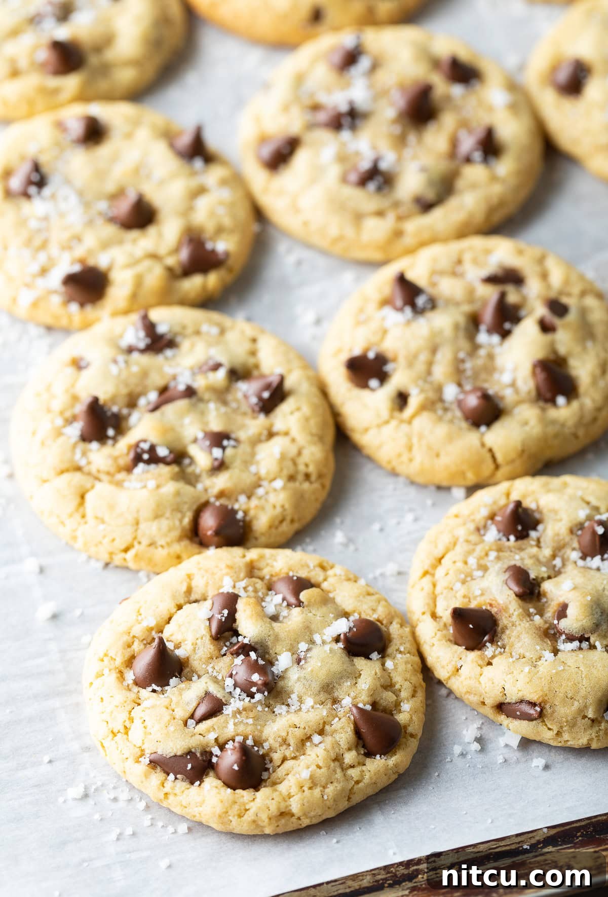 Salted Chocolate Chip Cookie Bliss 3 A batch of golden-brown salted chocolate chip cookies cooling on a baking sheet, glistening with sea salt.
