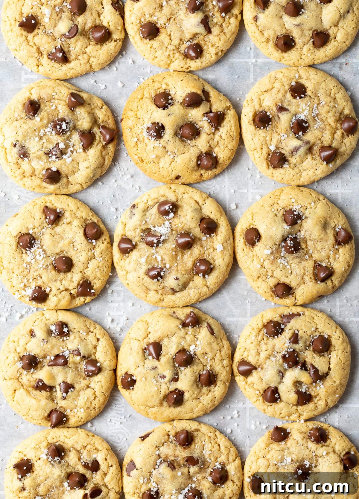 Salted Chocolate Chip Cookie Bliss 10 A top-down view of 15 freshly baked salted chocolate chip cookies on a baking sheet, glistening with a dusting of sea salt.