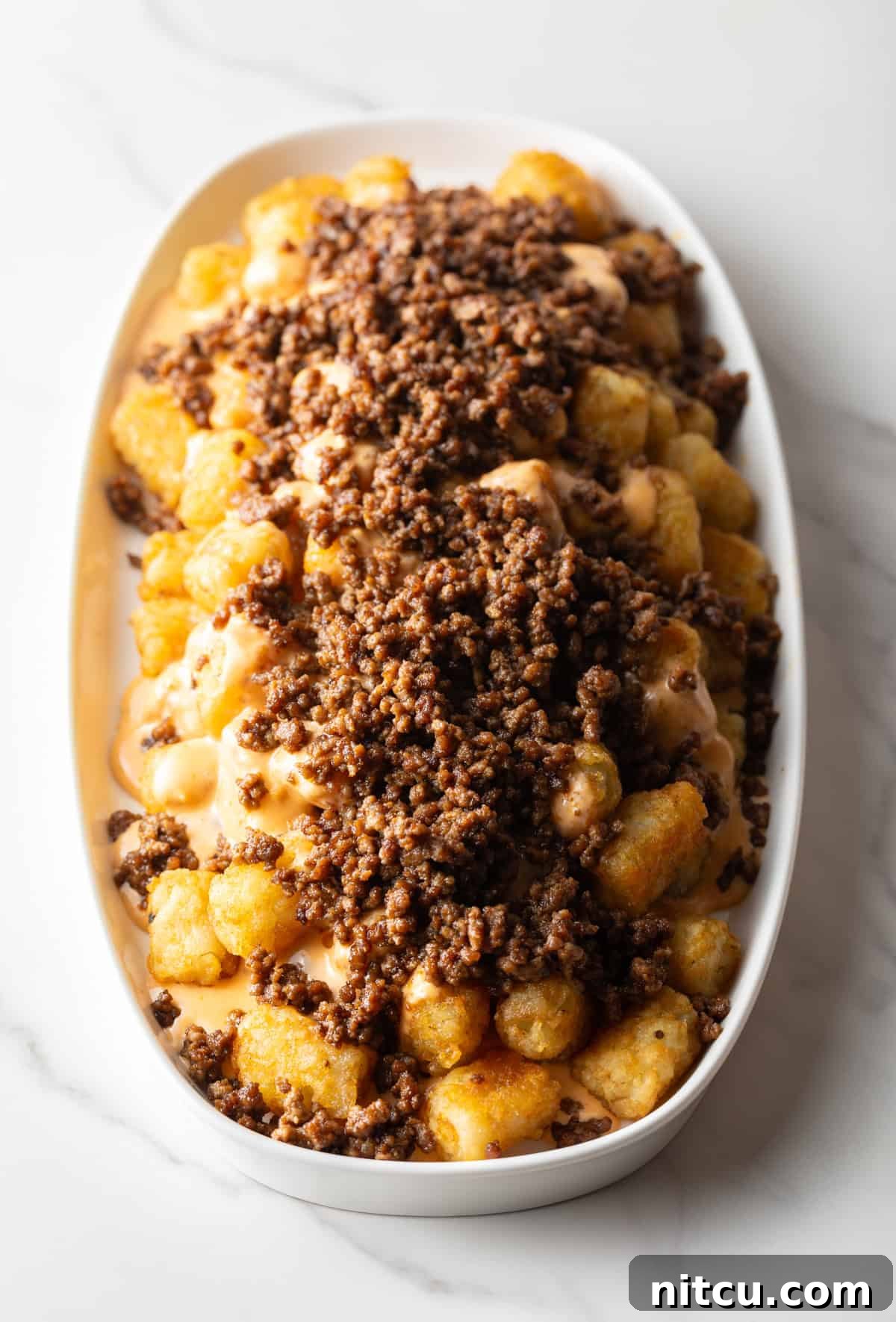 Ultimate Loaded Tots 9 Tater tots in a large white oval bowl covered with ground beef.