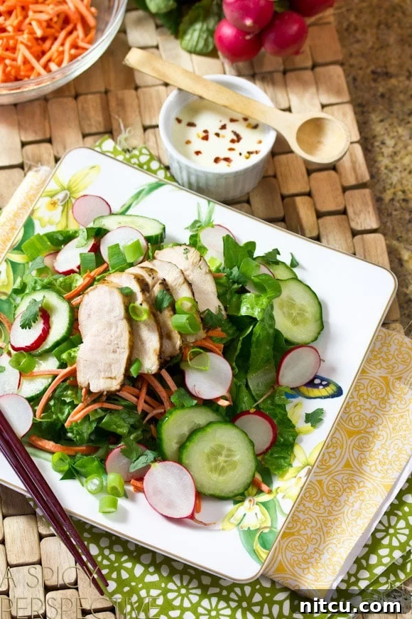 Deconstructed Banh Mi Salad 2 A beautifully arranged white square plate of Vietnamese Banh Mi Salad featuring vibrant fresh salad greens, thinly sliced cucumbers and radishes, finely shredded carrots, and succulent slices of grilled chicken breast. A light dressing is visibly drizzled over the salad.
