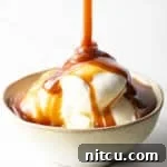 Salted Caramel Delight 12 Vanilla ice cream topped with rich salted caramel sauce in a rustic bowl on a white background.