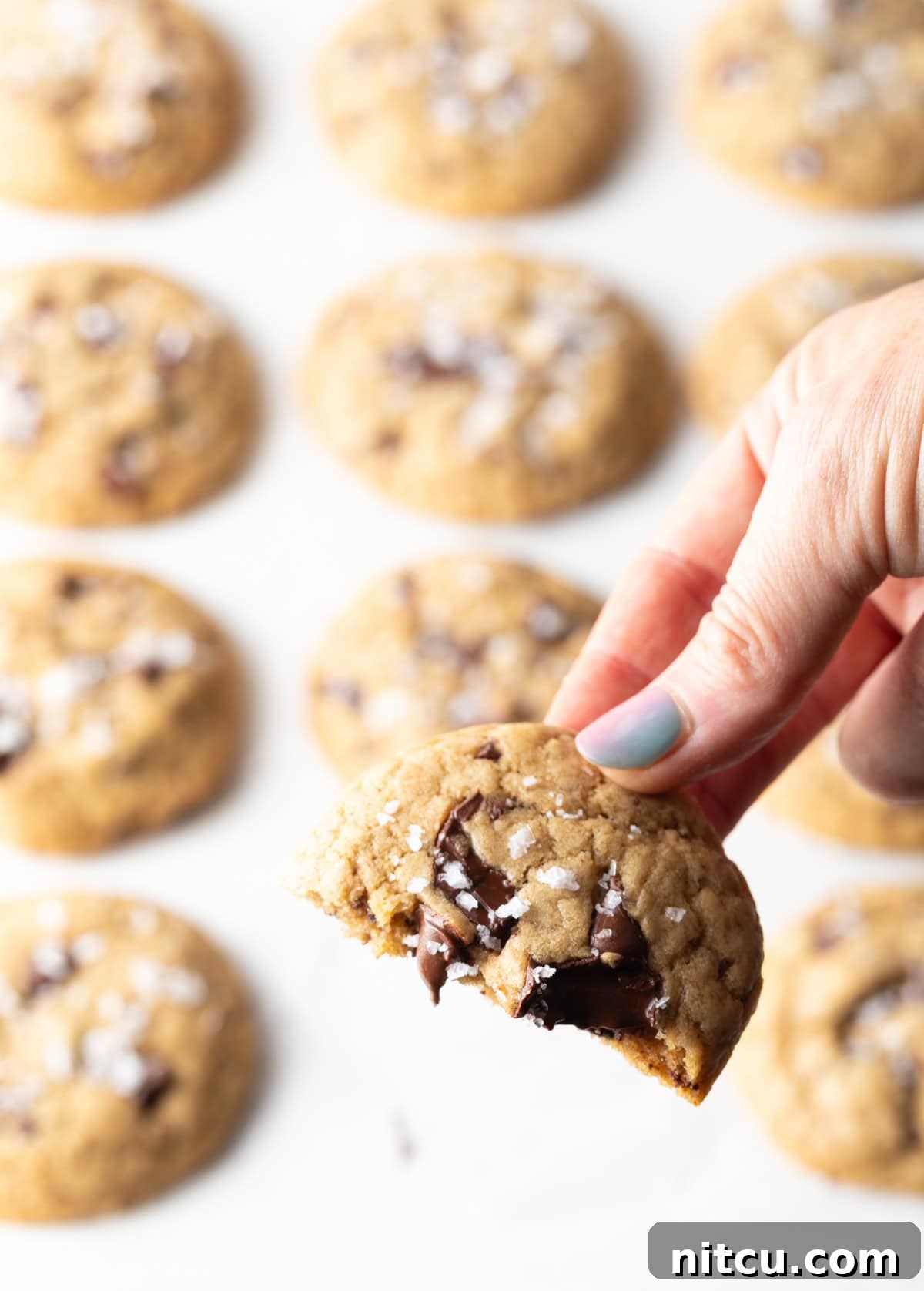 A hand presenting half of a perfectly baked brown sugar chocolate chip cookie to the camera, showcasing its soft interior and abundant melty chocolate.