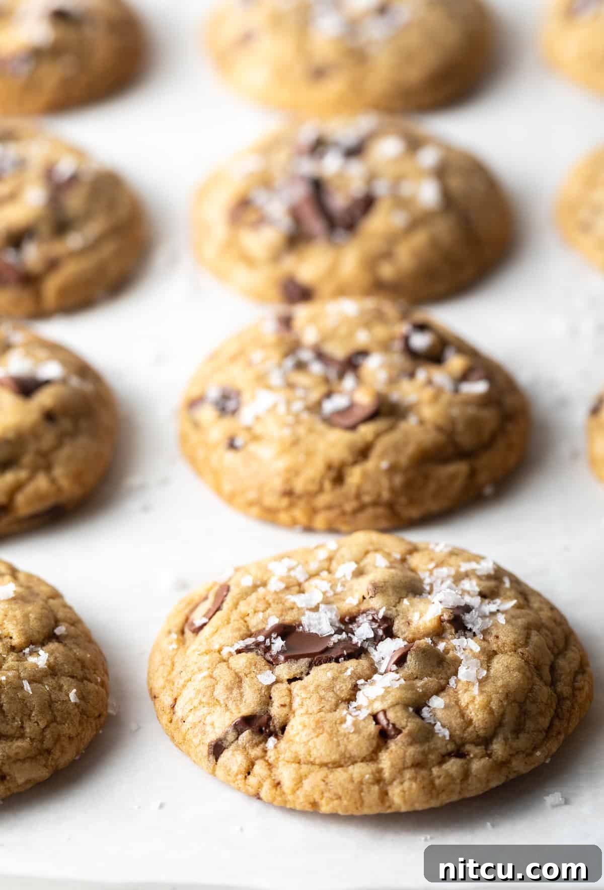 A collection of eight golden-brown chocolate chip cookies, baked to chewy perfection with rich brown sugar, cooling on a parchment-lined baking sheet.