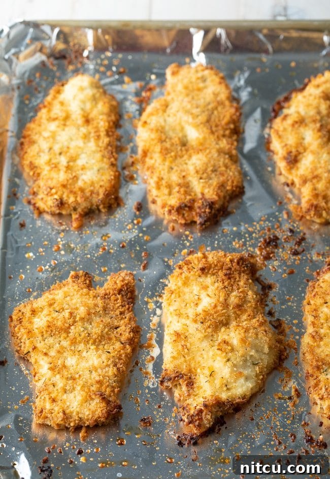 Golden Baked Chicken Cutlets 9 Overhead shot of crispy baked chicken cutlets cooling on a baking tray after being removed from the oven.