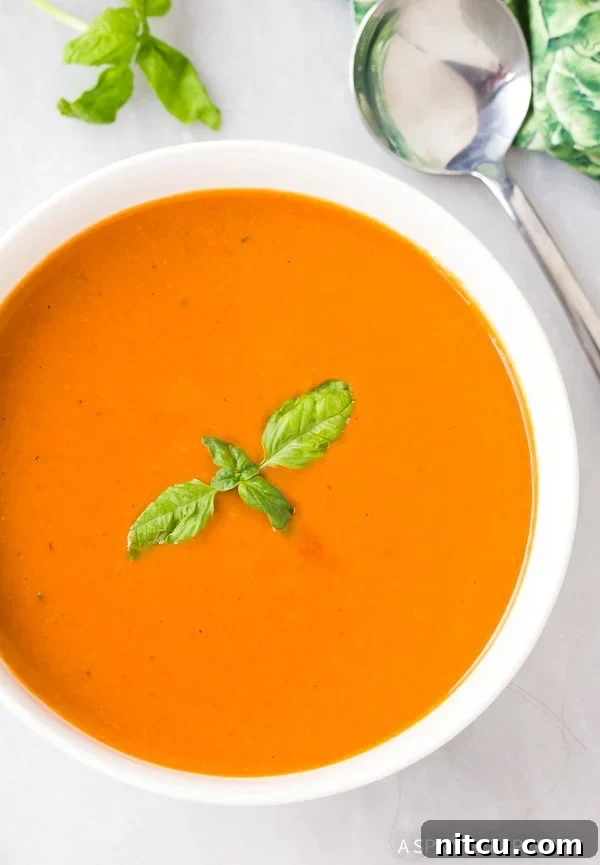 Nourishing Tomato Bisque 7 Overhead shot of a healthy tomato bisque in a white bowl, garnished with a sprig of fresh basil.