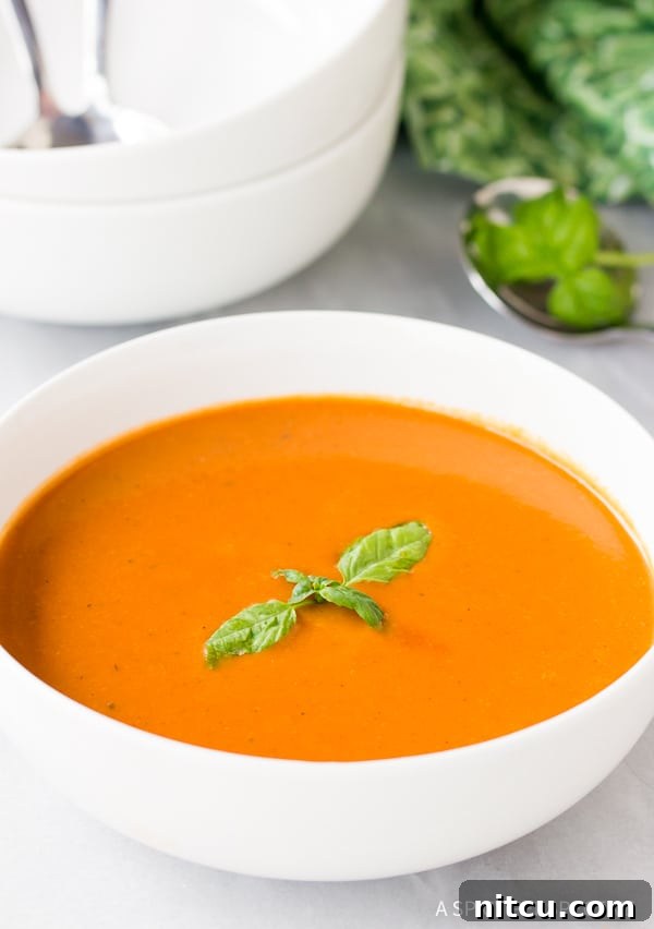 Nourishing Tomato Bisque 8 Side view of a bowl of easy tomato bisque, showcasing its creamy texture and topped with fresh basil leaves.