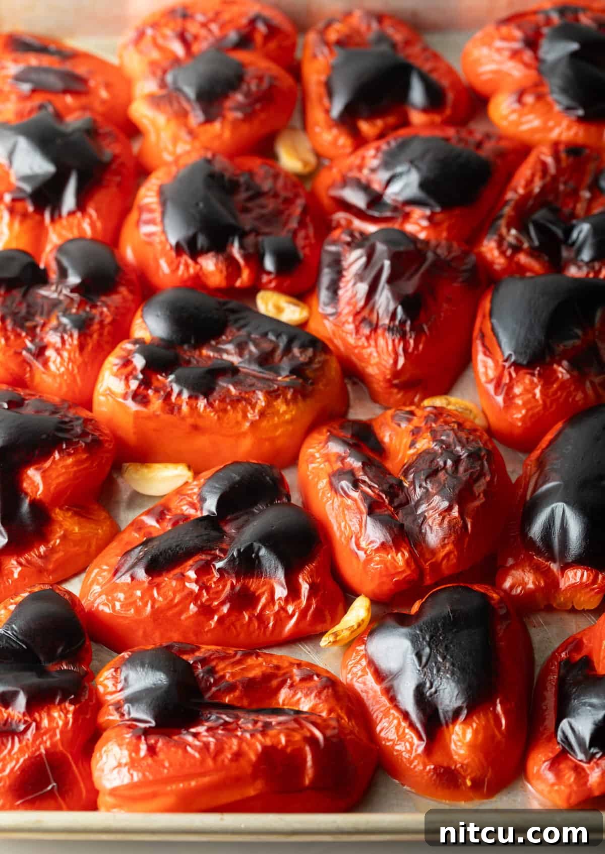 Smoky Red Pepper Bisque 6 Perfectly charred red bell peppers and golden-roasted garlic cloves resting on a parchment-lined baking pan, fresh from the broiler.