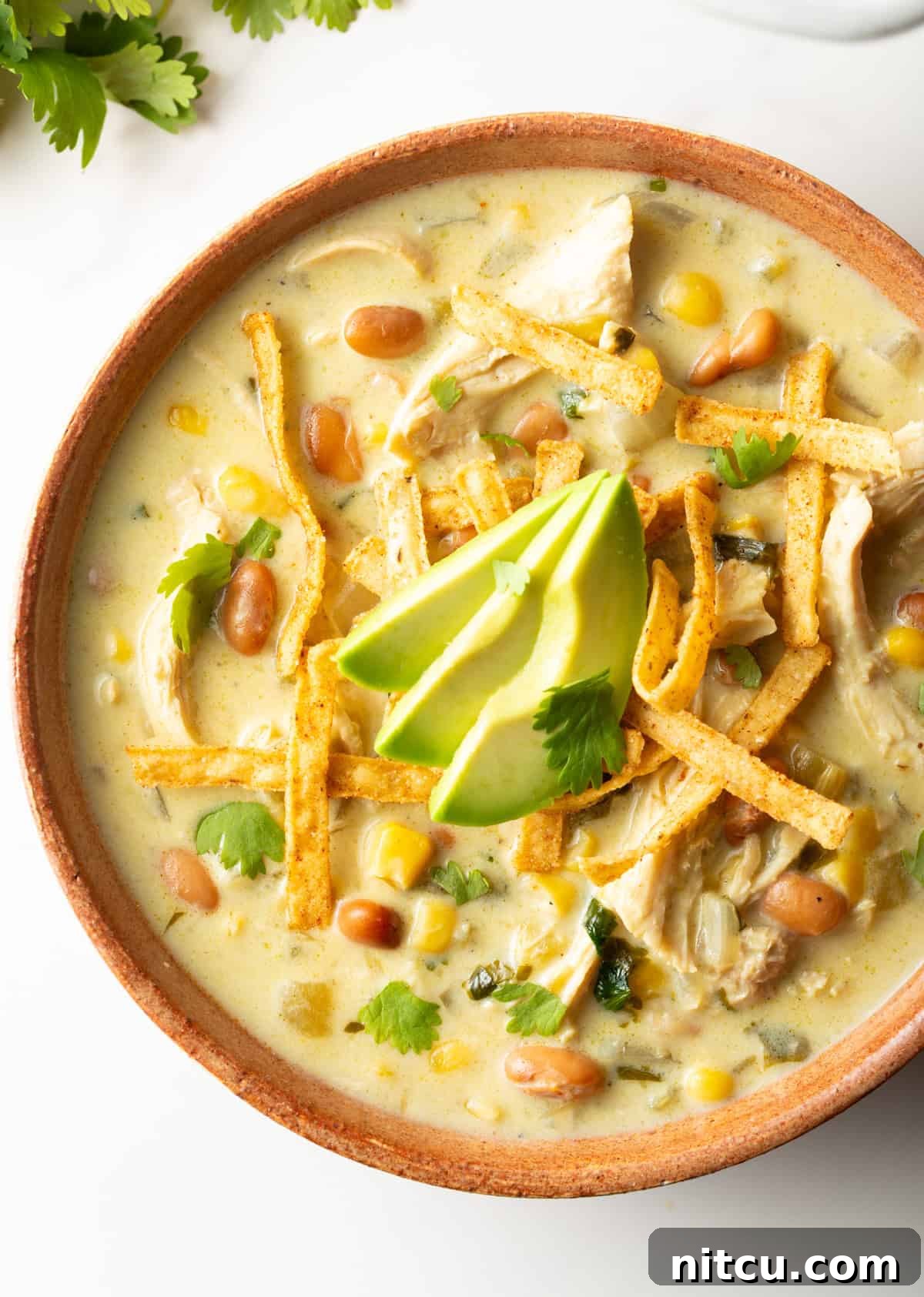 Top down view bowl of green chicken enchilada soup, topped with tortilla strips and slices of avocado.