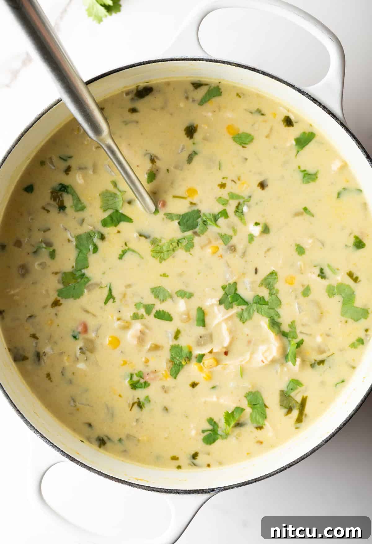 Top down view creamy chicken soup in a large white cooking pot.