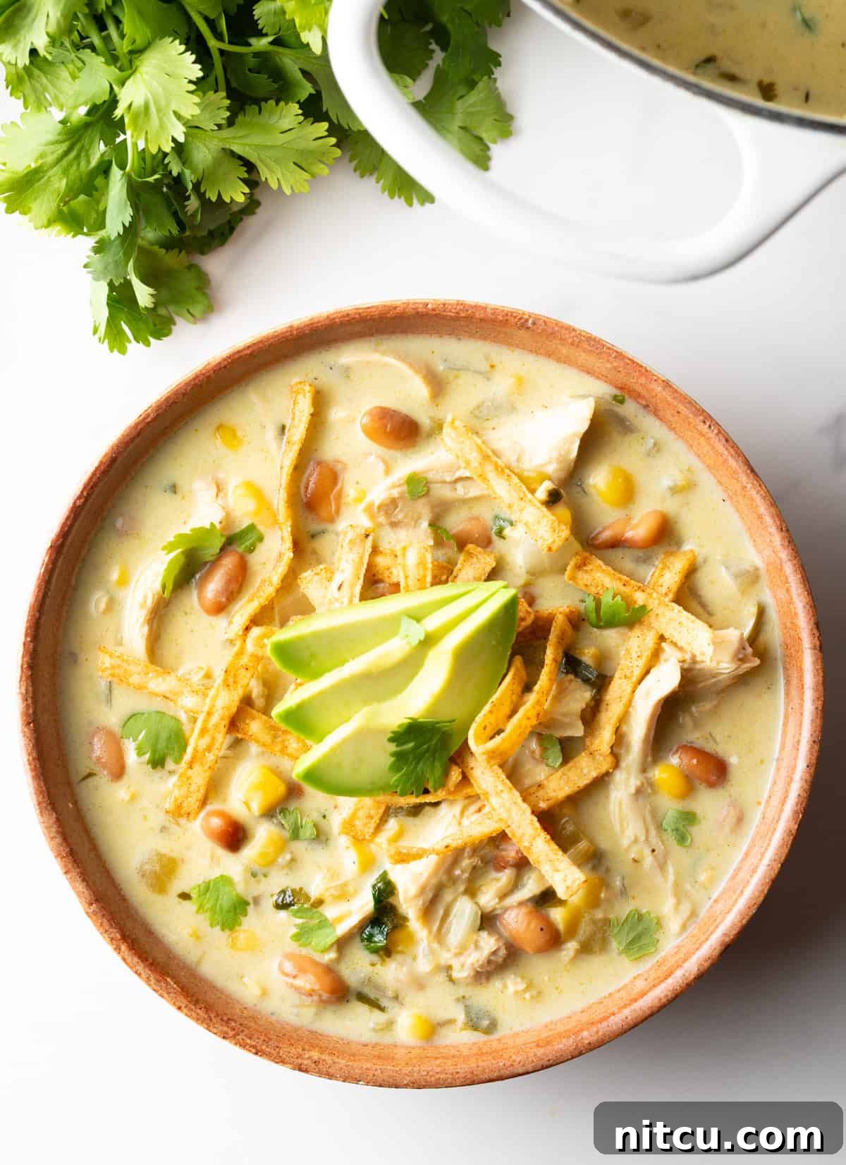 Top down view bowl of green chicken enchilada soup, topped with tortilla strips and slices of avocado.