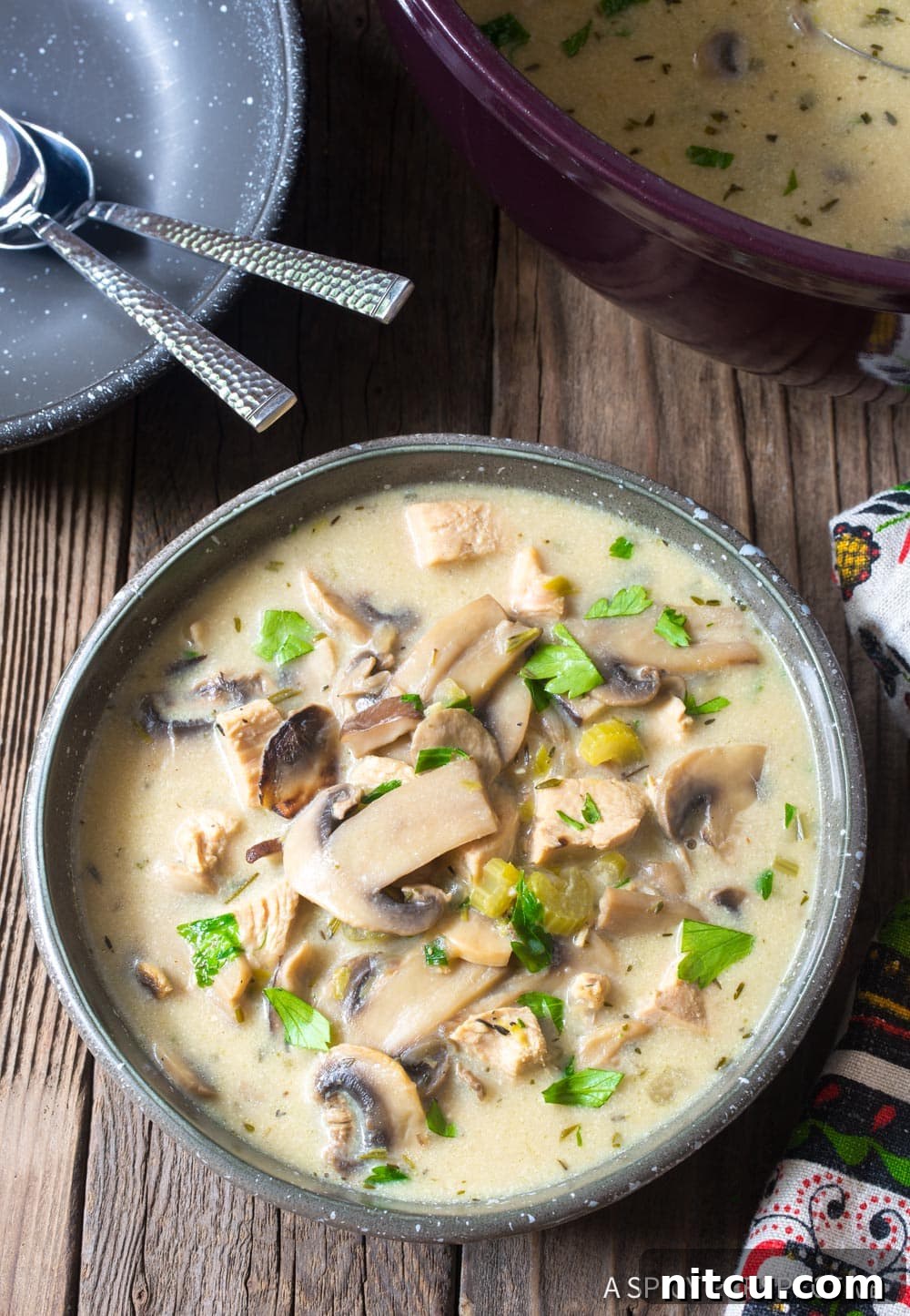 Overhead view of a comforting bowl of creamy chicken mushroom soup, garnished with fresh parsley.