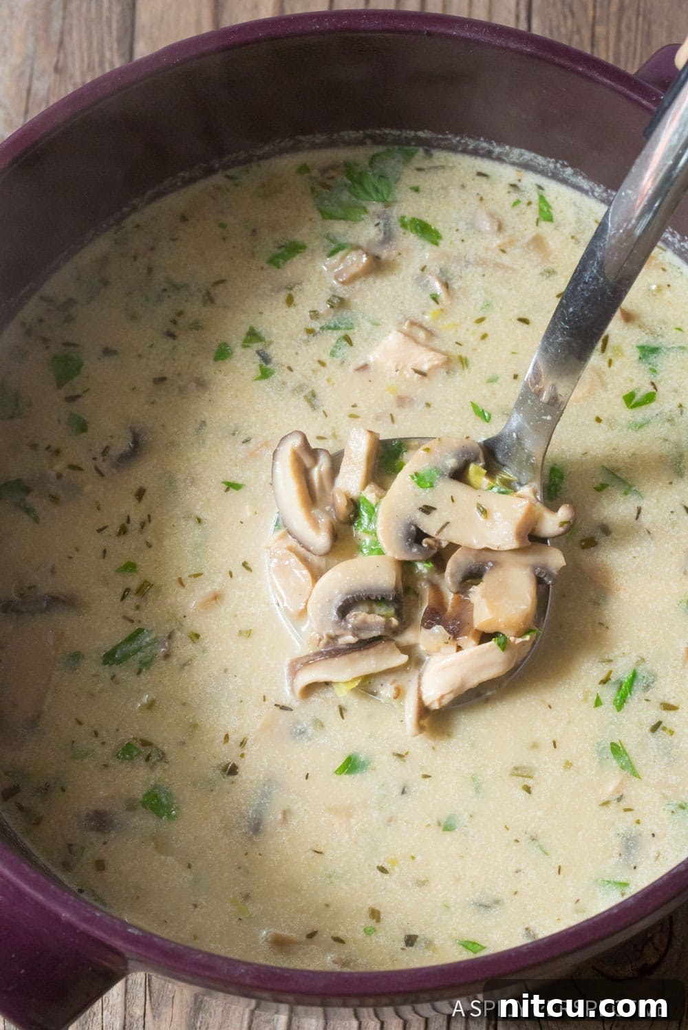 A spoon lifting a spoonful of creamy chicken mushroom soup from a bowl, showcasing its rich texture.