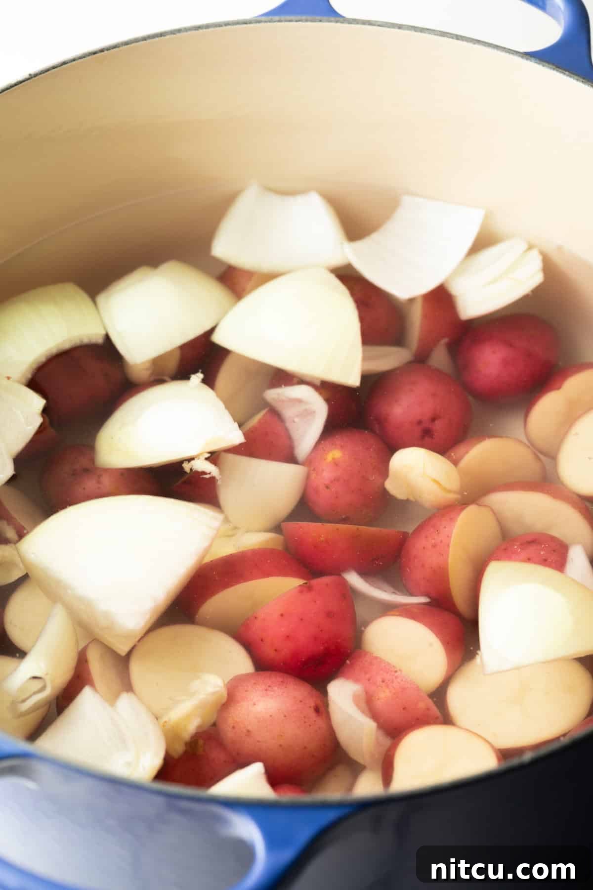 Coastal Bounty Boil 5 A large cooking pot on the stove, filled with water, robust onion wedges, and tender baby red potatoes, simmering as the base for the Low Country Boil.
