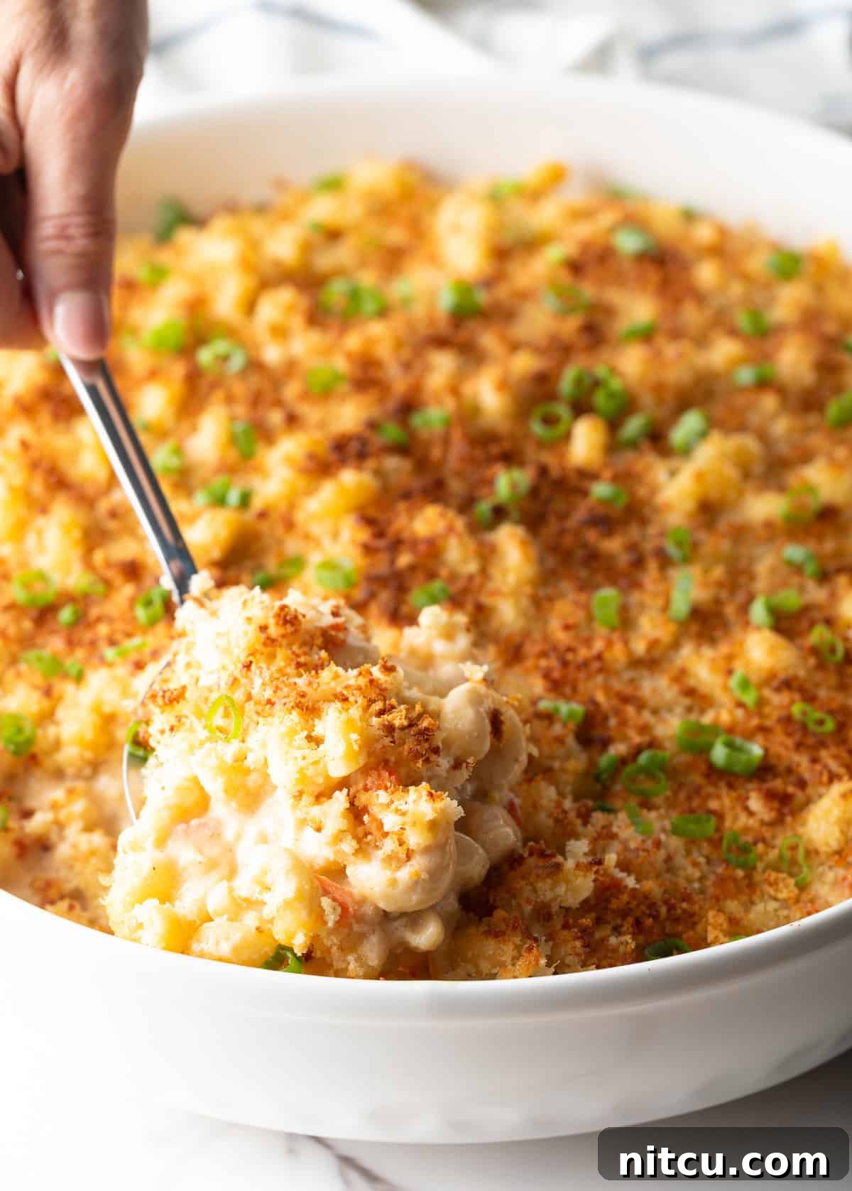 Big Easy Mac and Cheese 2 A spoon is scooping a serving of New Orleans style macaroni and cheese from a white dish.