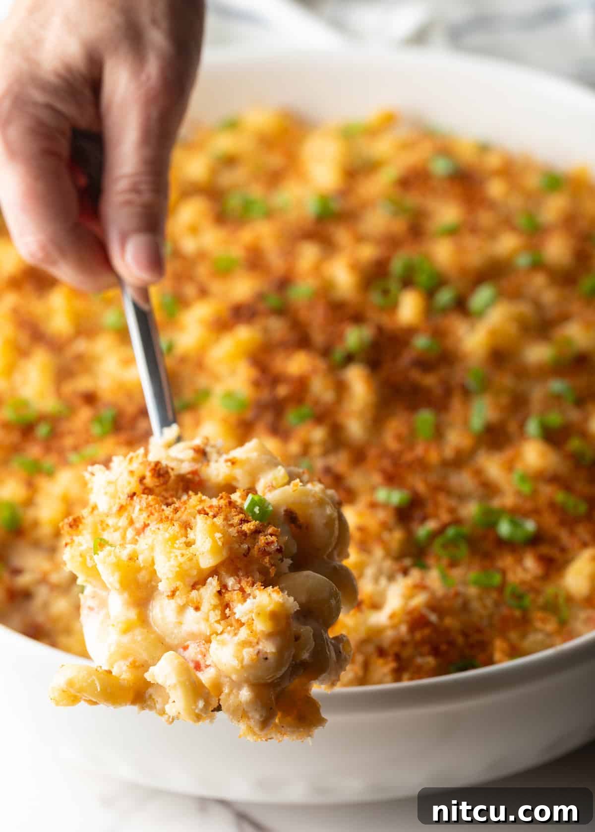 Big Easy Mac and Cheese 5 A spoon is scooping a serving of New Orleans macaroni and cheese from a white dish.