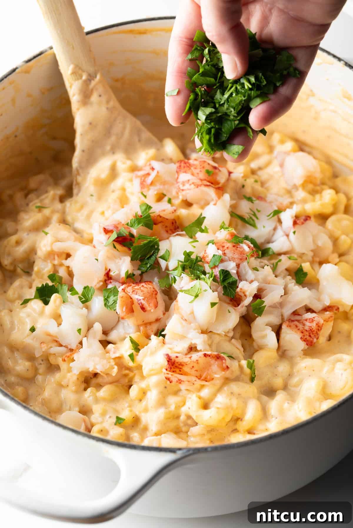 Decadent Lobster Mac and Cheese 11 Cooked lobster and fresh chopped parsley are being added to the pasta and sauce for lobster mac and cheese.