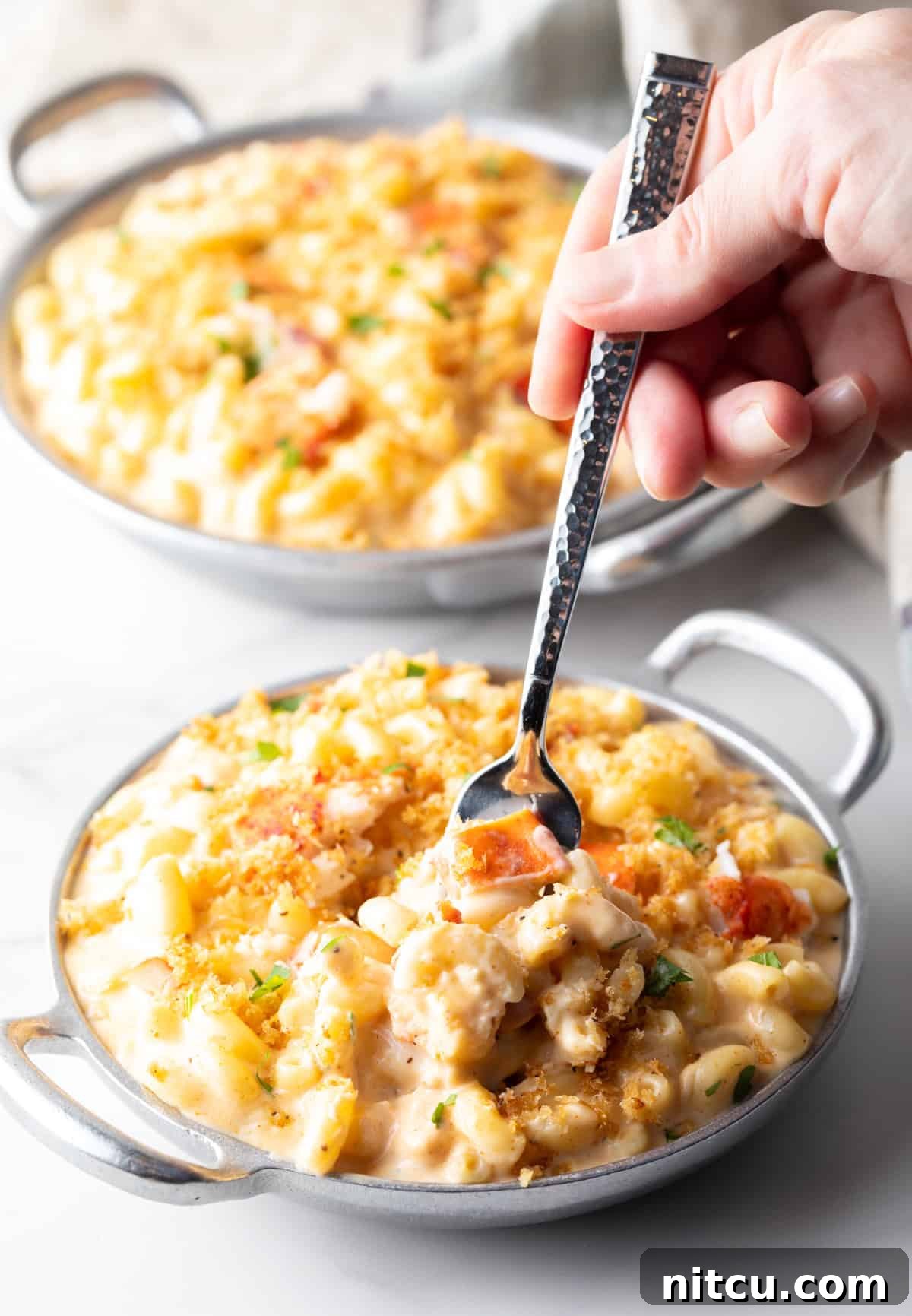 Decadent Lobster Mac and Cheese 13 A fork preparing a bite of lobster mac and cheese with crispy breadcrumb topping.