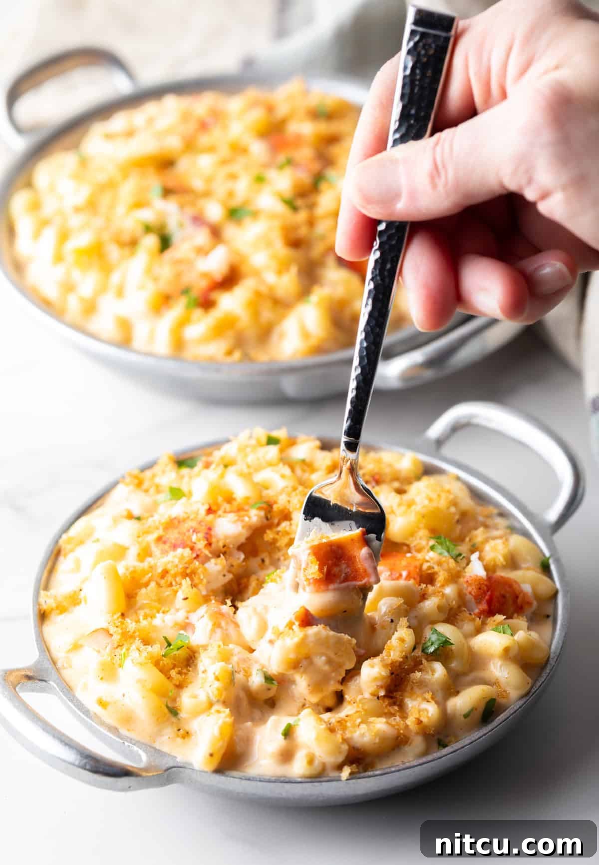 Decadent Lobster Mac and Cheese 5 A fork preparing a bite of lobster mac and cheese with crispy breadcrumb topping.