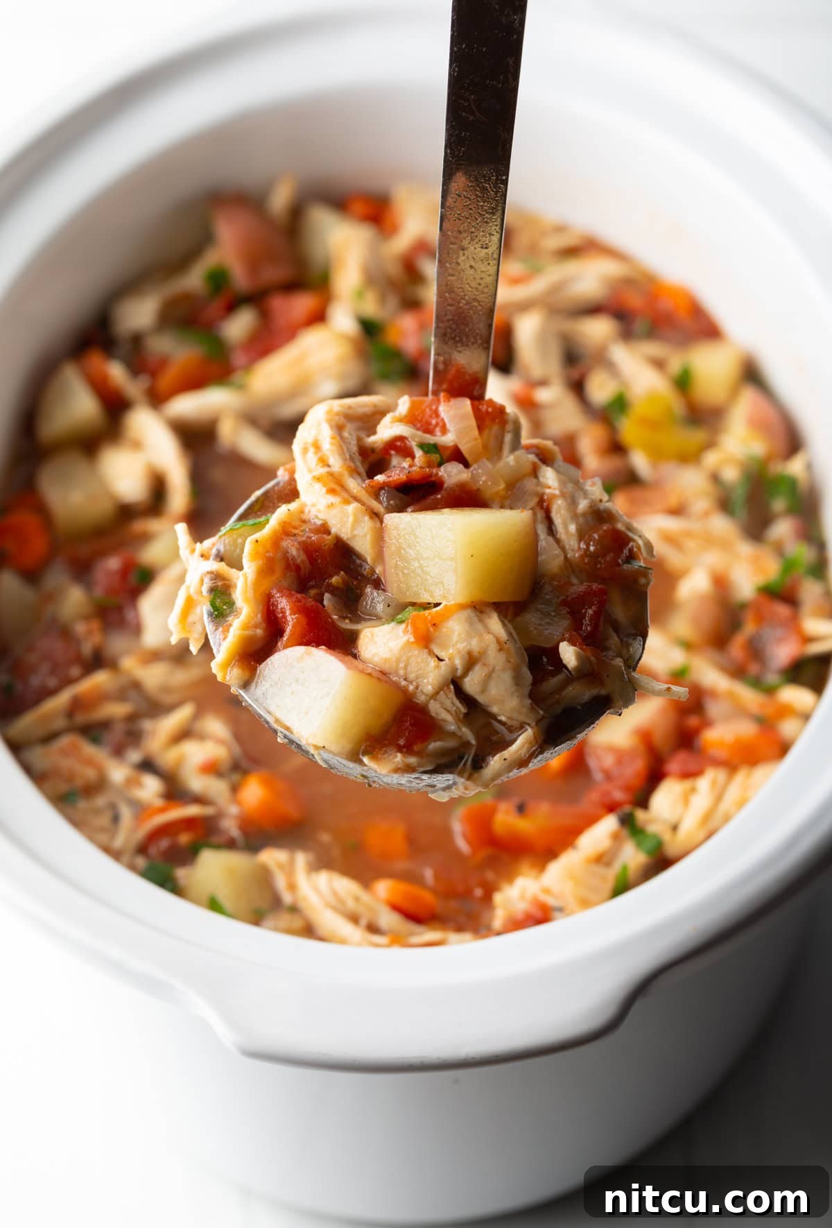 Soul-Satisfying Slow Cooker Chicken Stew 11 Ladleful of chicken stew held to camera.