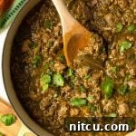 Signature New Mexico Green Chile Stew 11 Zesty New Mexico Chile Verde (Green Chili)