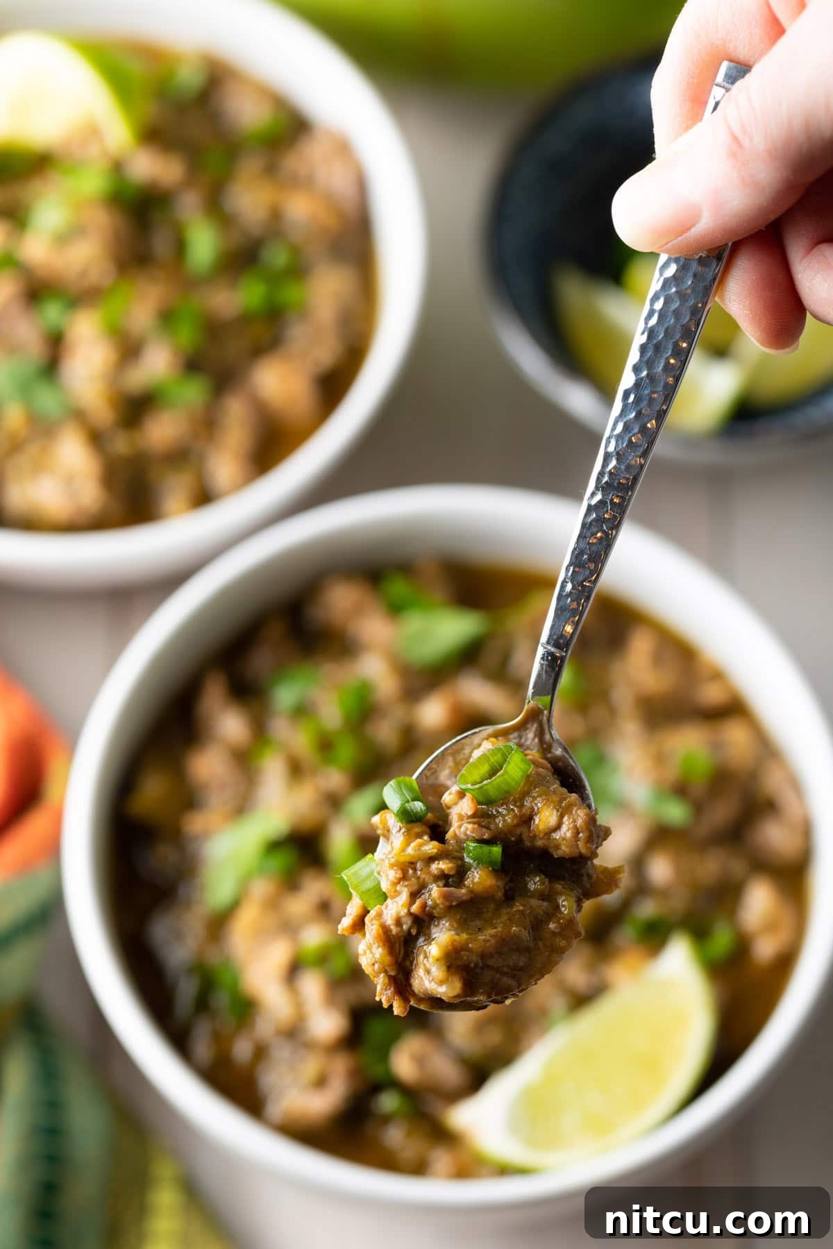 Signature New Mexico Green Chile Stew 10 Authentic pork green chile stew served in a bowl, with a spoon lifting a bite, showcasing its rich texture.