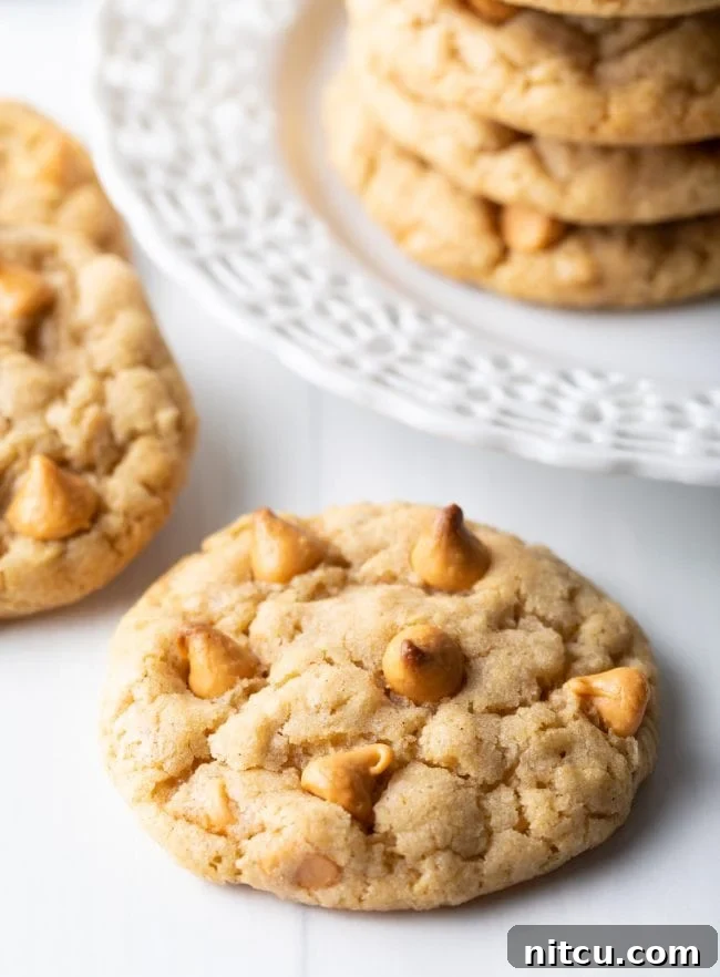 A plate of freshly baked Chewy Oatmeal Cookies with Butterscotch Chips, ready to be enjoyed.