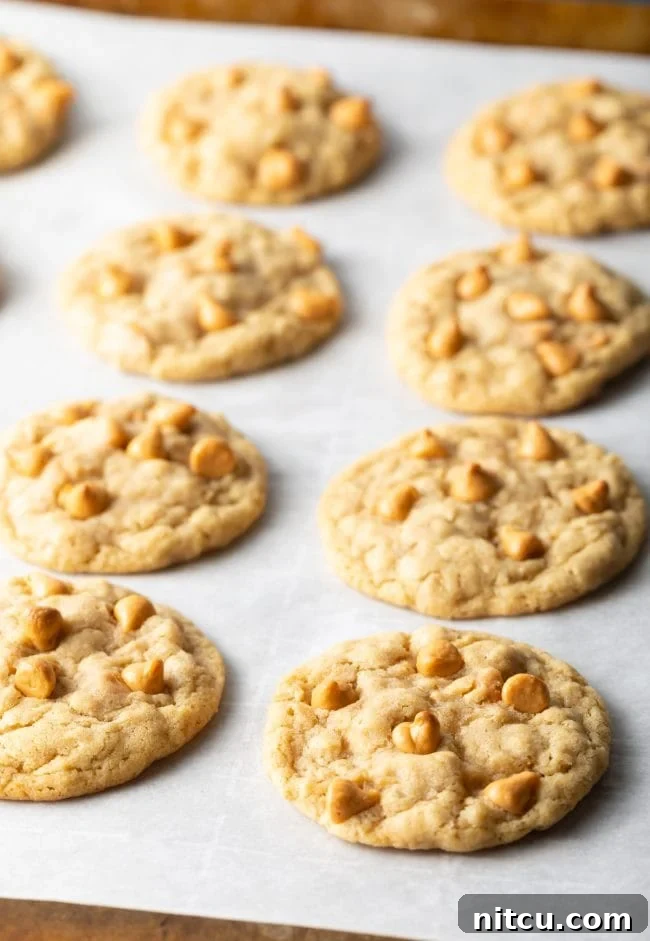 Freshly baked oatmeal butterscotch cookies cooling on parchment paper on a wire rack.