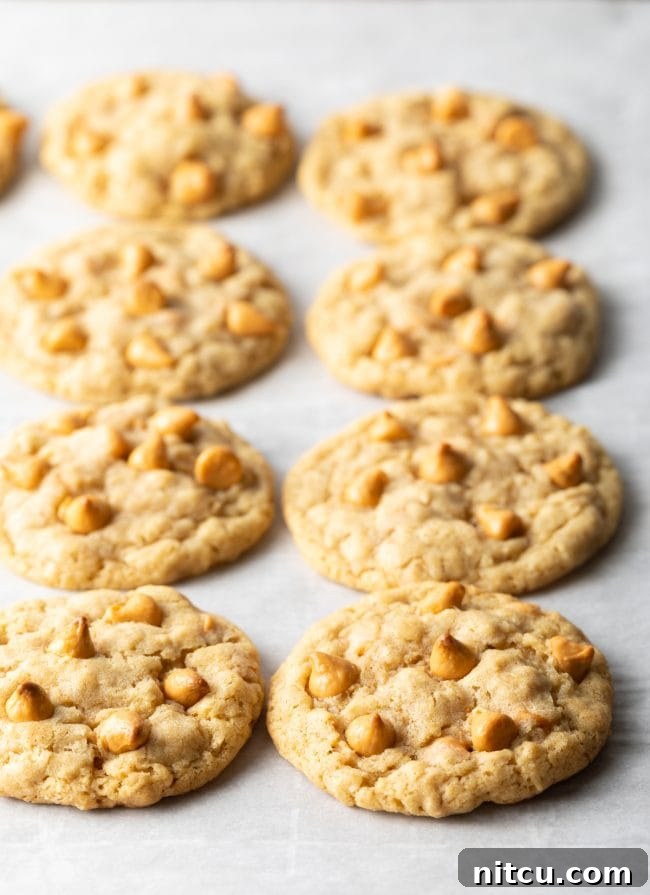 A close-up shot of a single Oatmeal Butterscotch Cookie, showcasing its texture and delicious appeal.