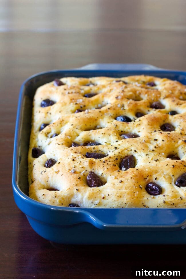 Golden Herb & Olive Focaccia 2 Blue baking dish with tender olive and garlic focaccia bread.