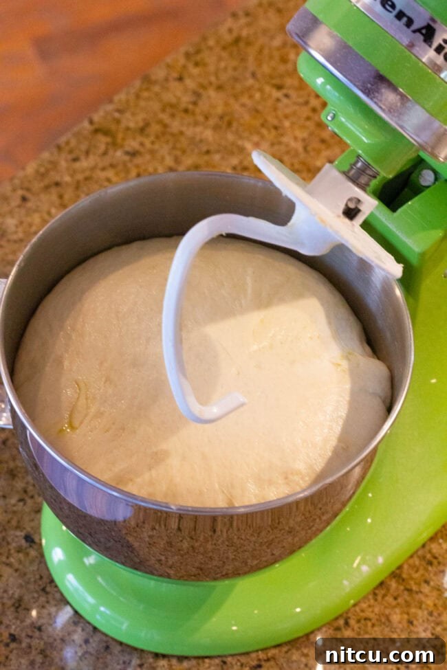 Golden Herb & Olive Focaccia 6 Standing mixer full of dough proofing.